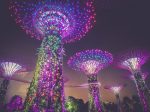 Build Income Streams. Explore The Unusual. Explore the Unusual purple 700x467