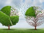 Transferring Retirement Assets from Vanguard to Fidelity Moving Market Share