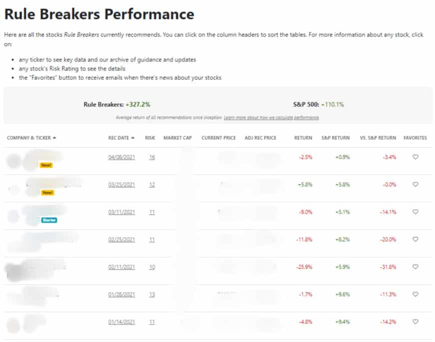 Motley Fool Rule Breakers review performance screenshot