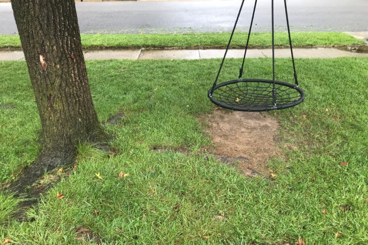 Tree swing with bald spot in the grass below. 