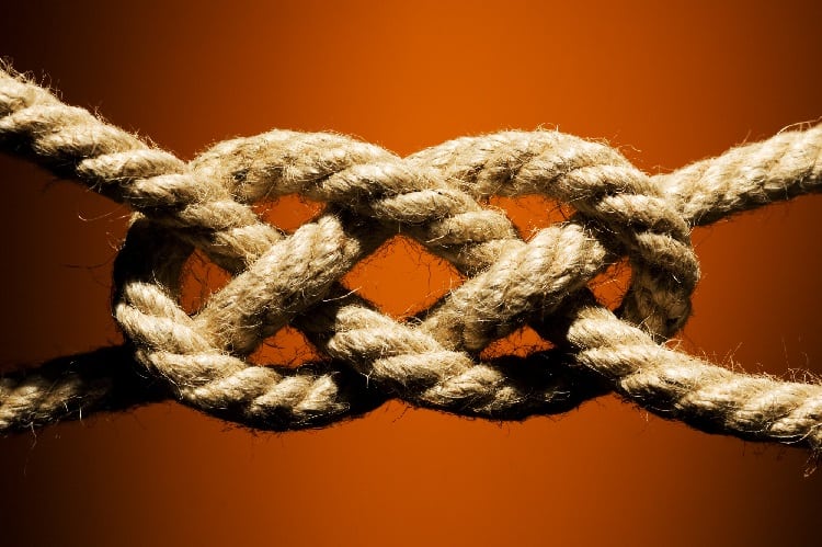 Photo of a symmetrical knot.